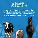 JERINGA_APLICACION_CONTINUA_TIPO_B_01.webp