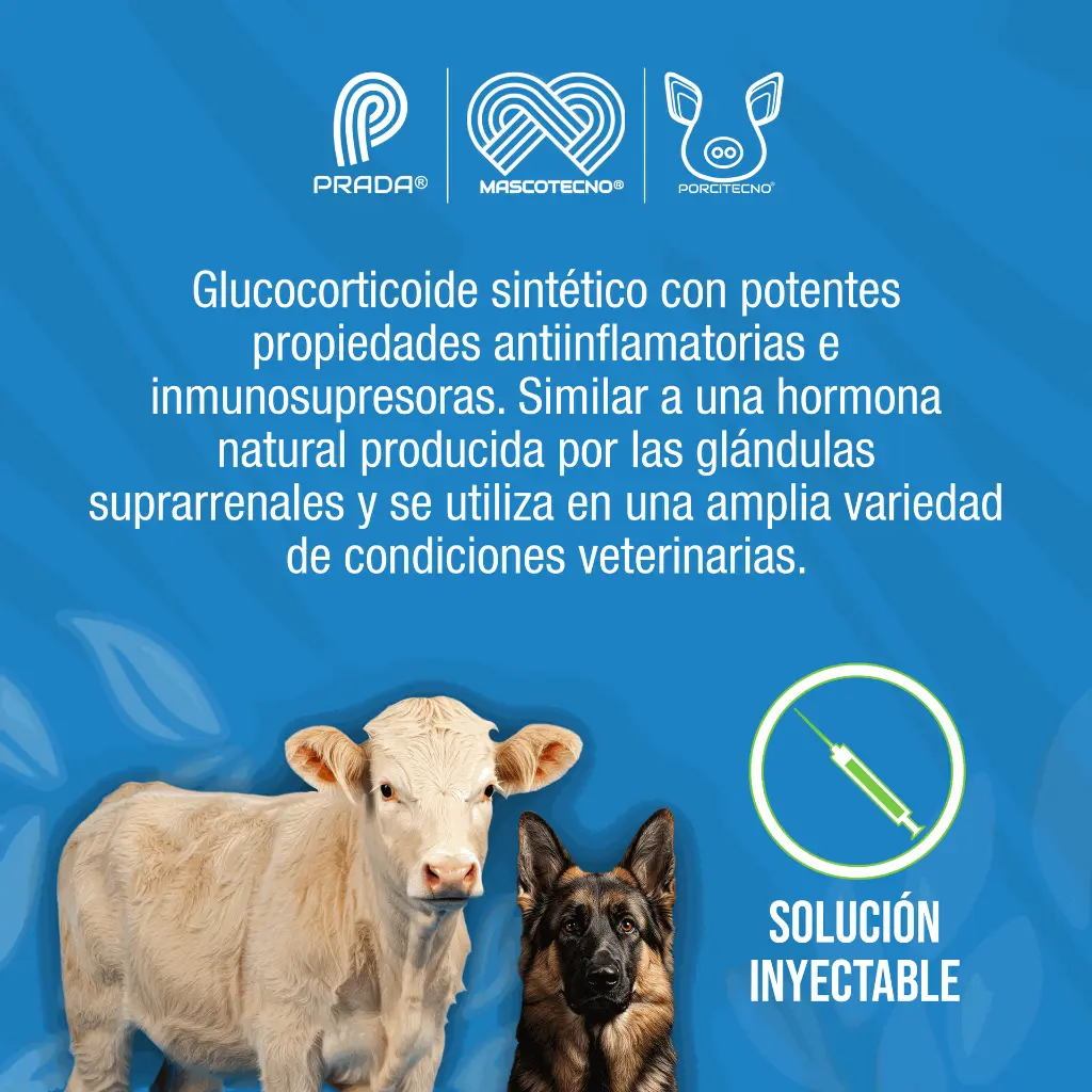 DEXAMETASONA_50_ML_01.webp