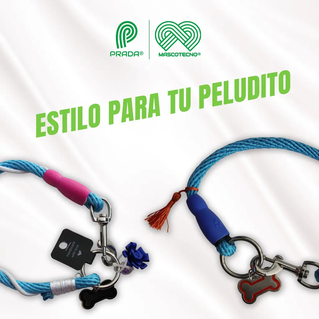 COLLAR_MEDIANO_PERROS_02.webp