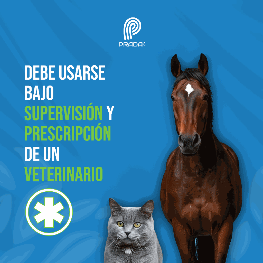 DEXAMETASONA_50_ML_05.webp