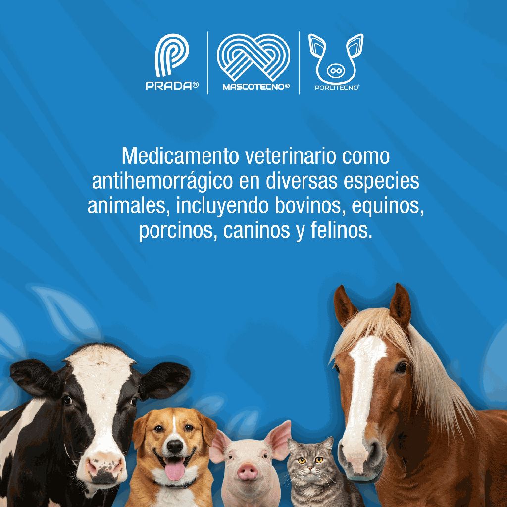 KAVITEX_20-20_20ML_01.webp