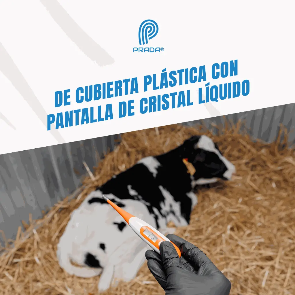 TERMOMETROL_DIGITAL_CPM_VERDE_04.webp