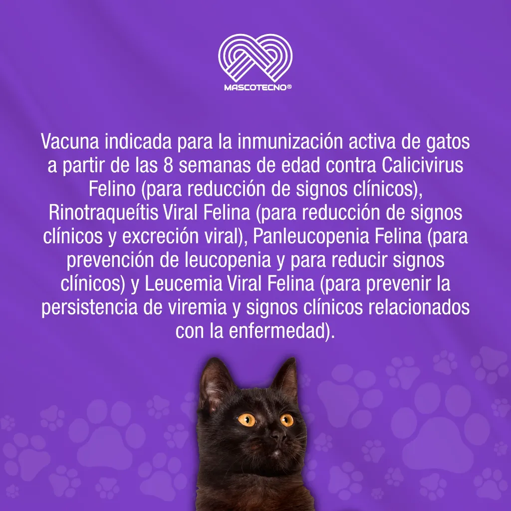 VACUNA_LEUCOFELIGEN_FELV_CRP_01.webp