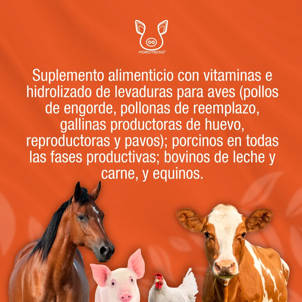 PROMOCALIER_L47_5L_01.webp