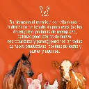 PROMOCALIER_L47_5L_01.webp