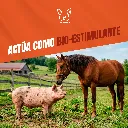 PROMOCALIER_L47_5L_05.webp