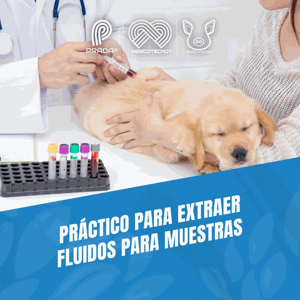 AGUJA_DESECHABLE_18G_B_03.webp