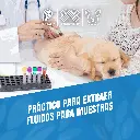 AGUJA_DESECHABLE_18G_B_03.webp