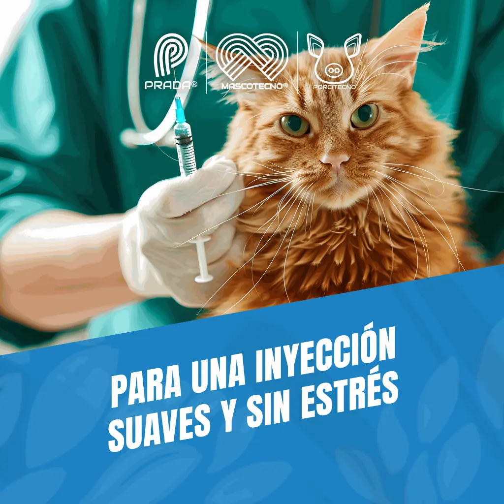 AGUJA_DESECHABLE_20G_B_03.webp