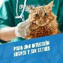 AGUJA_DESECHABLE_20G_B_03.webp