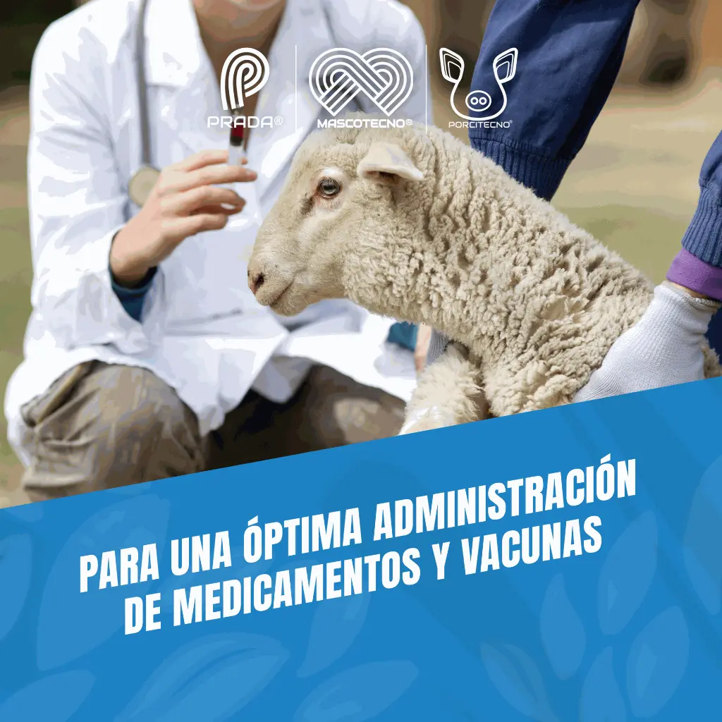 AGUJA_DESECHABLE_23G_03.webp