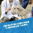 AGUJA_DESECHABLE_23G_03.webp