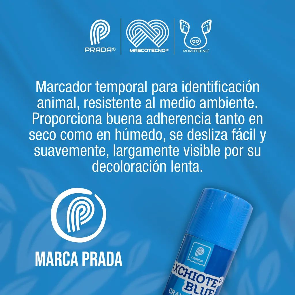 TIZA_MARCADORA_AXCHIOTE_AZUL_01.webp