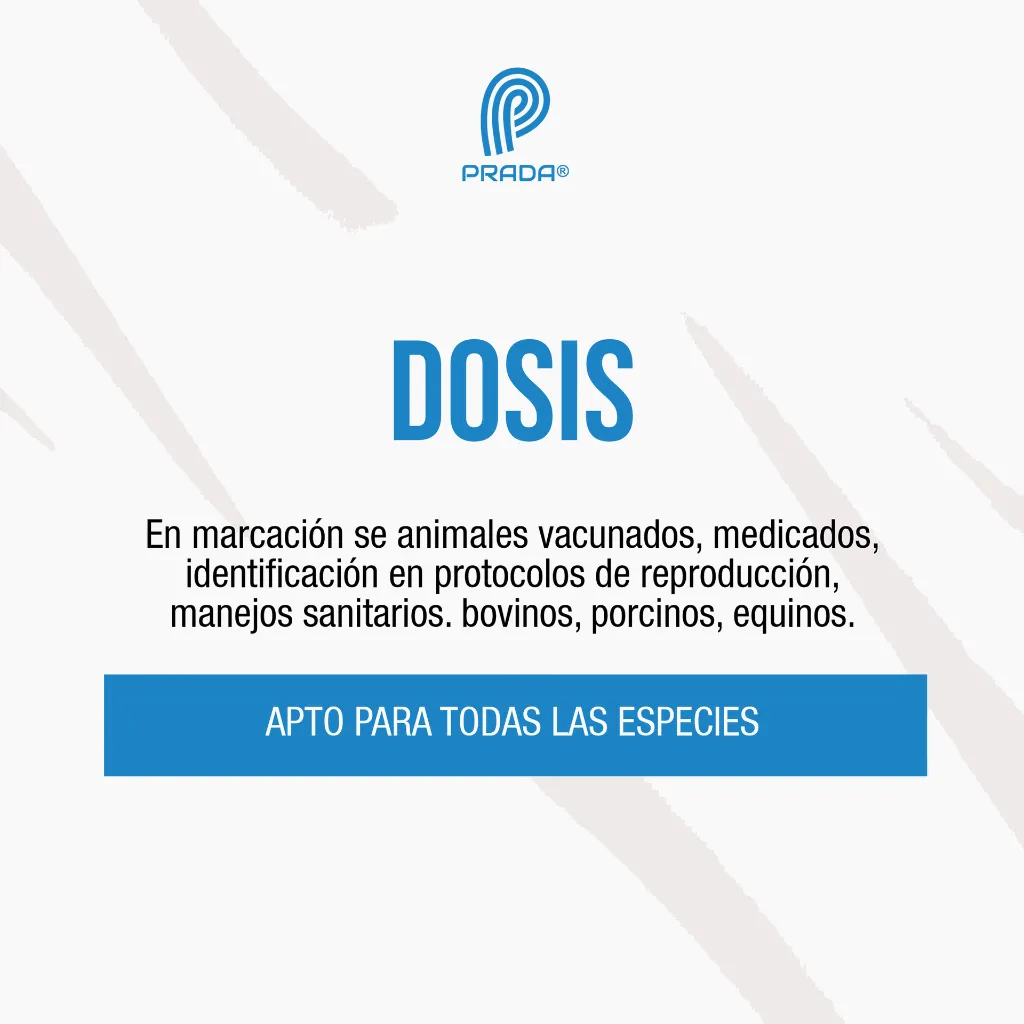 TIZA_MARCADORA_AXCHIOTE_03.webp