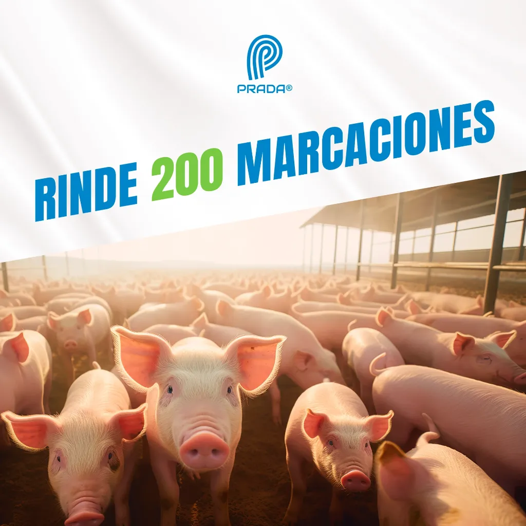 TIZA_MARCADORA_AXCHIOTE_AZUL_04.webp