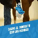 GASA_NO_TEJIDA_200UND_03.webp