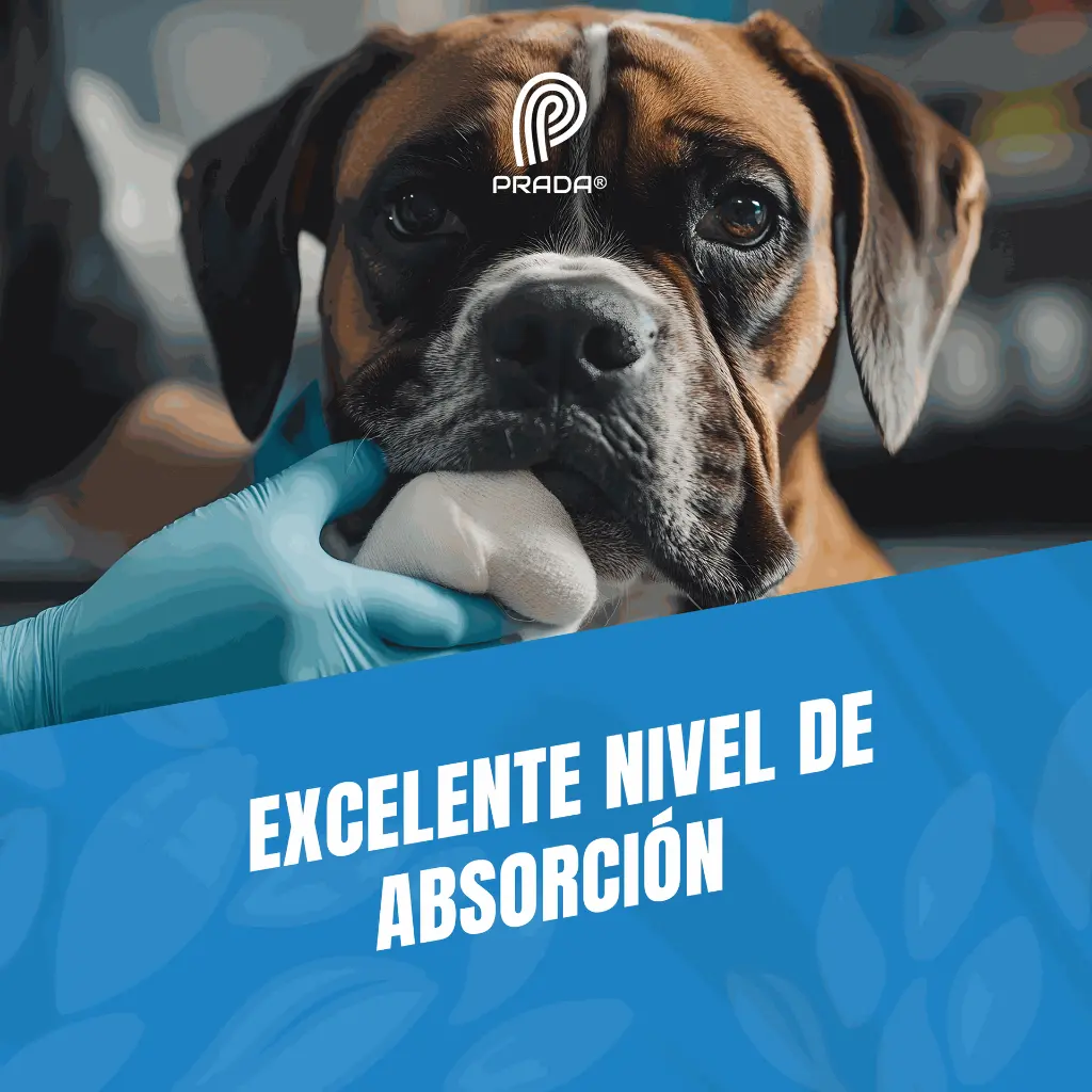 GASA_ROLLO_100YRD_03.webp