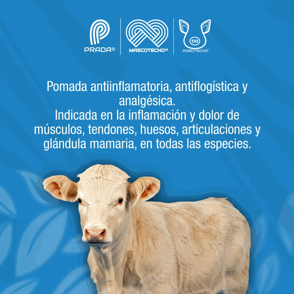POMADA_ALFA_60GR_01.webp