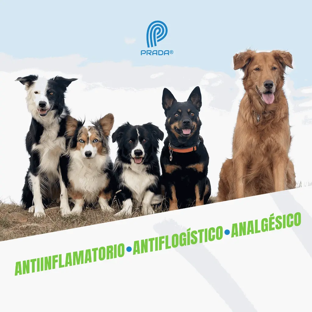 POMADA_ALFA_60GR_05.webp