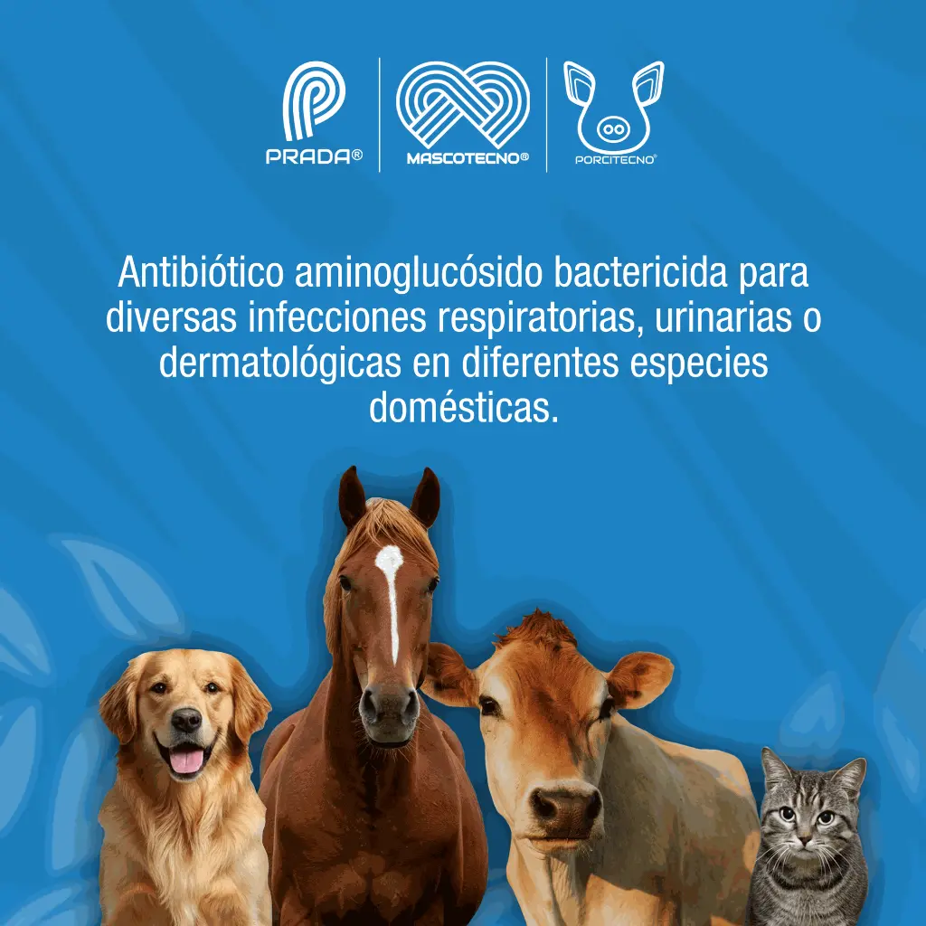 GENTAX100_INY_20ML_01.webp