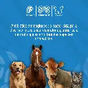 GENTAX100_INY_20ML_01.webp