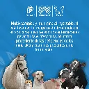 COMPLEMIL500_INY_250ML_01.webp