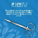 TIJERA_MAYO_RECTA_14-5CM_01.webp