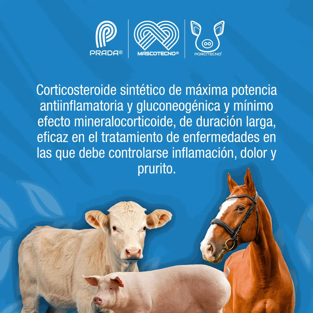 INFLACOR_20ML_01.webp