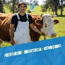 OVEROL_PLASTILONA_XL_04.webp