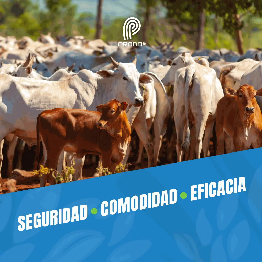 LUBRICANTE_INSEMINACION_04.webp
