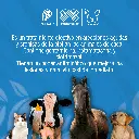 CUTAMYCON_100ML_01.webp