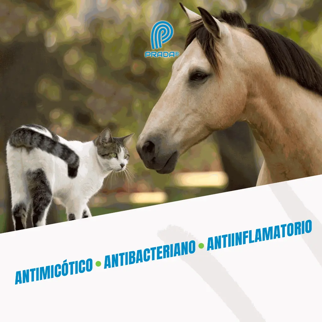 CUTAMYCON_100ML_05.webp