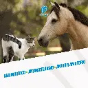 CUTAMYCON_100ML_05.webp