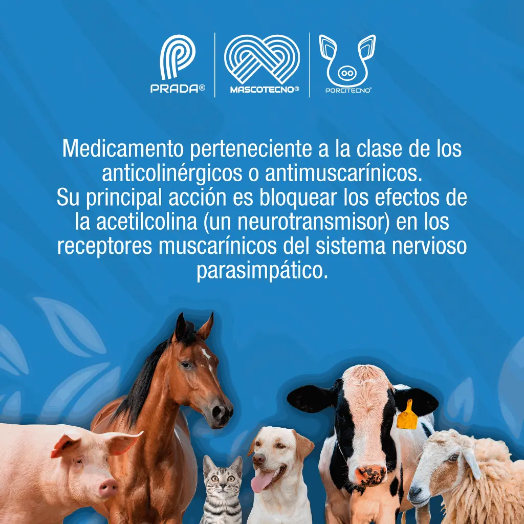 ATROPINA_SULFATO_10ML_01.webp