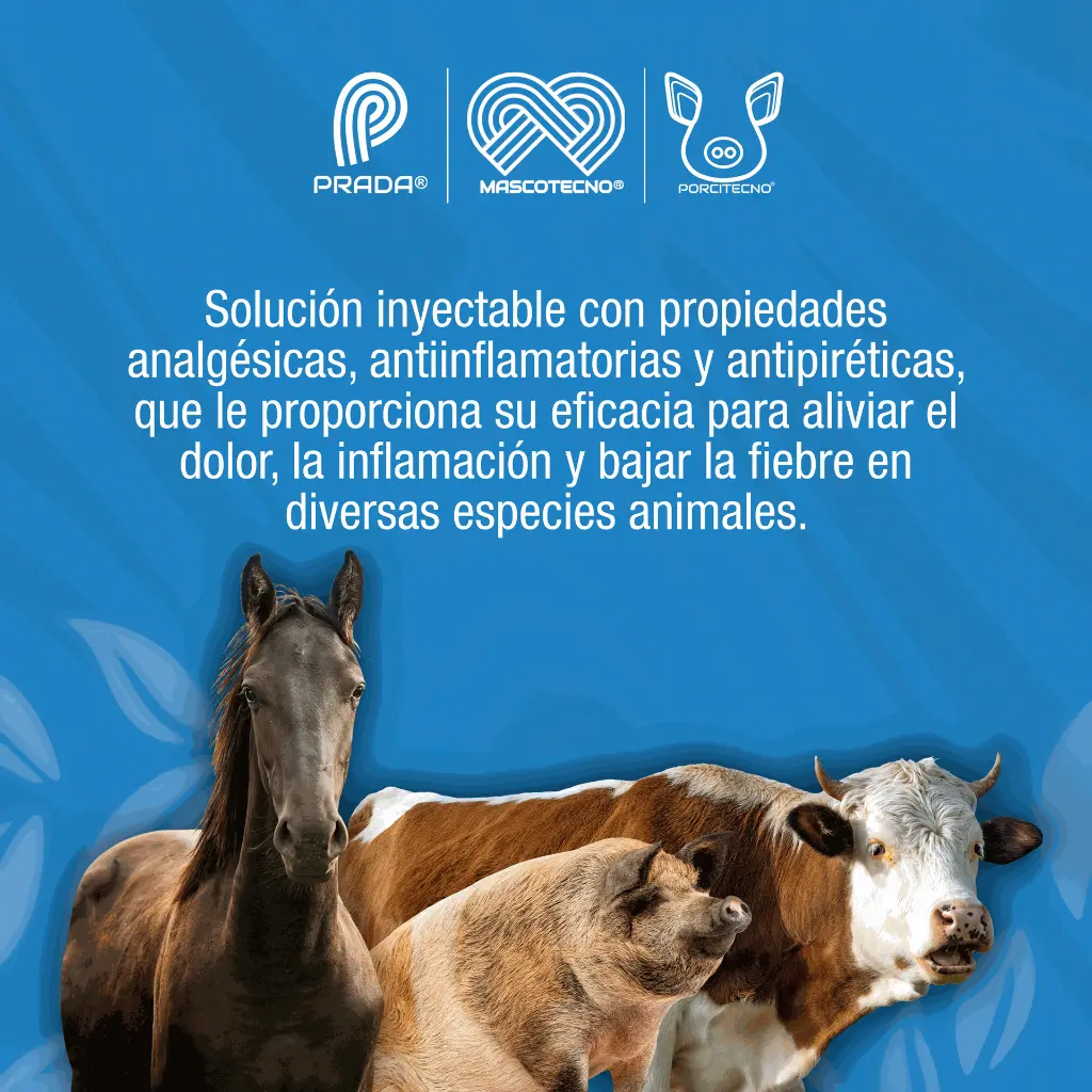 FLUNIXINA_INY_100ML_01.webp