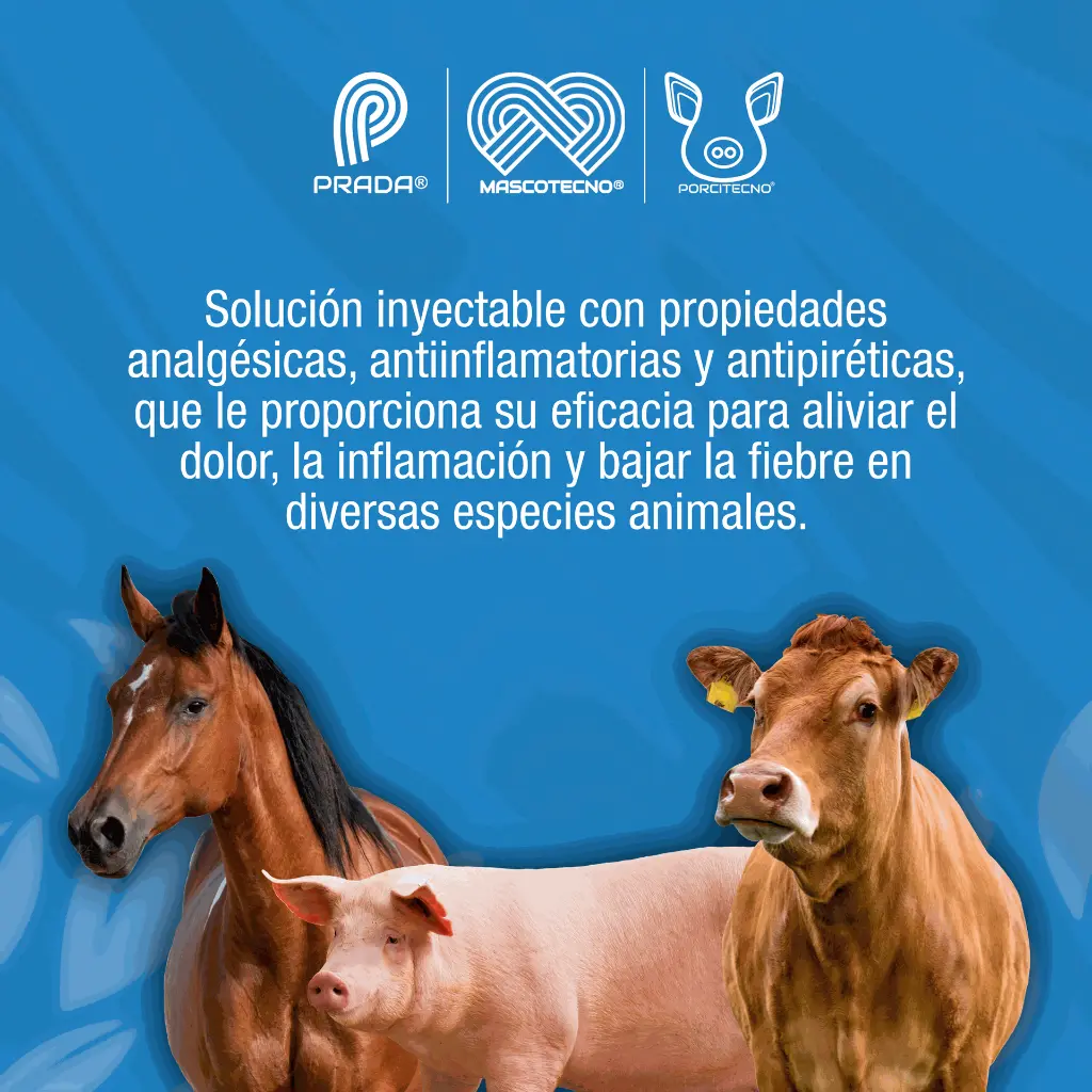 FLUNIXINA_INY_50ML_01.webp