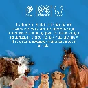 DQSANGRYL_B12_500ML_01.webp