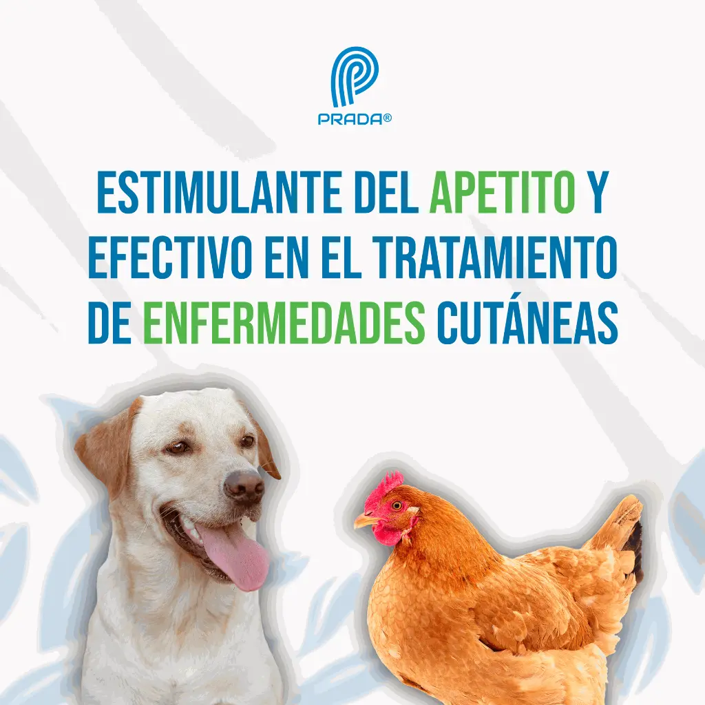 COMPLEMIL_ORAL_4LT_05.webp