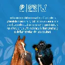 NAQUASONE_50ML_01.webp