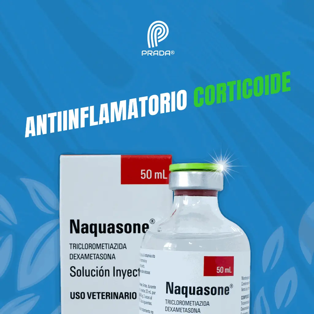 NAQUASONE_50ML_05.webp