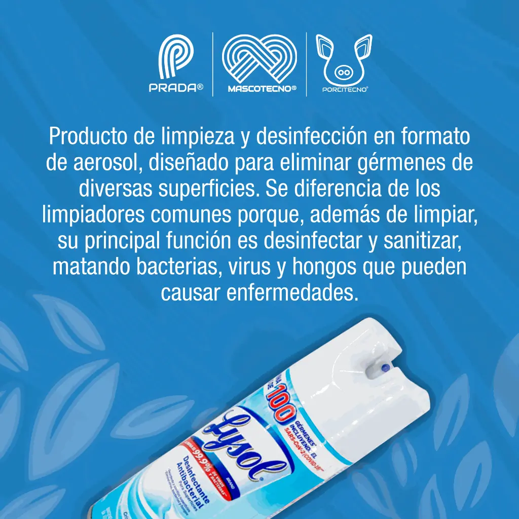 AEROSOL_DESINFECTANTE_LYSOL_538GR_01.webp