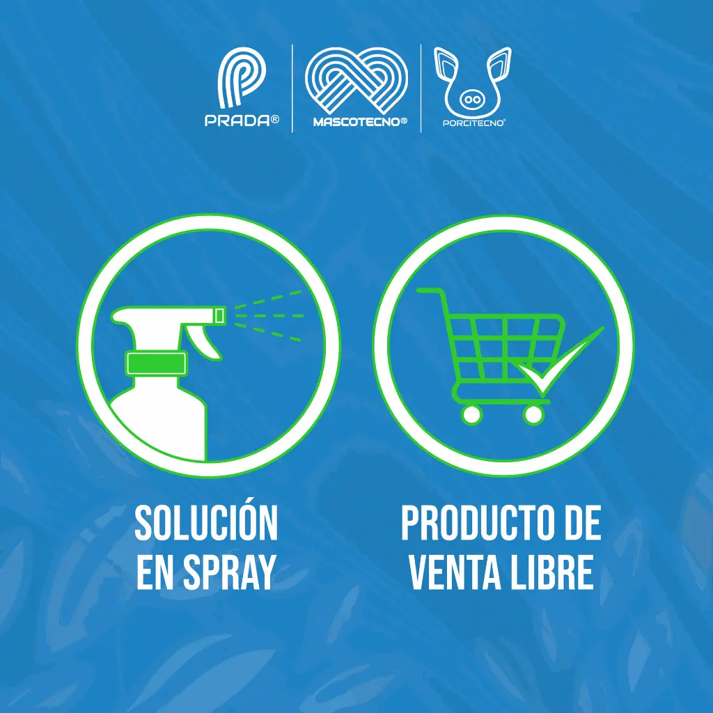 AEROSOL_DESINFECTANTE_LYSOL_538GR_02.webp