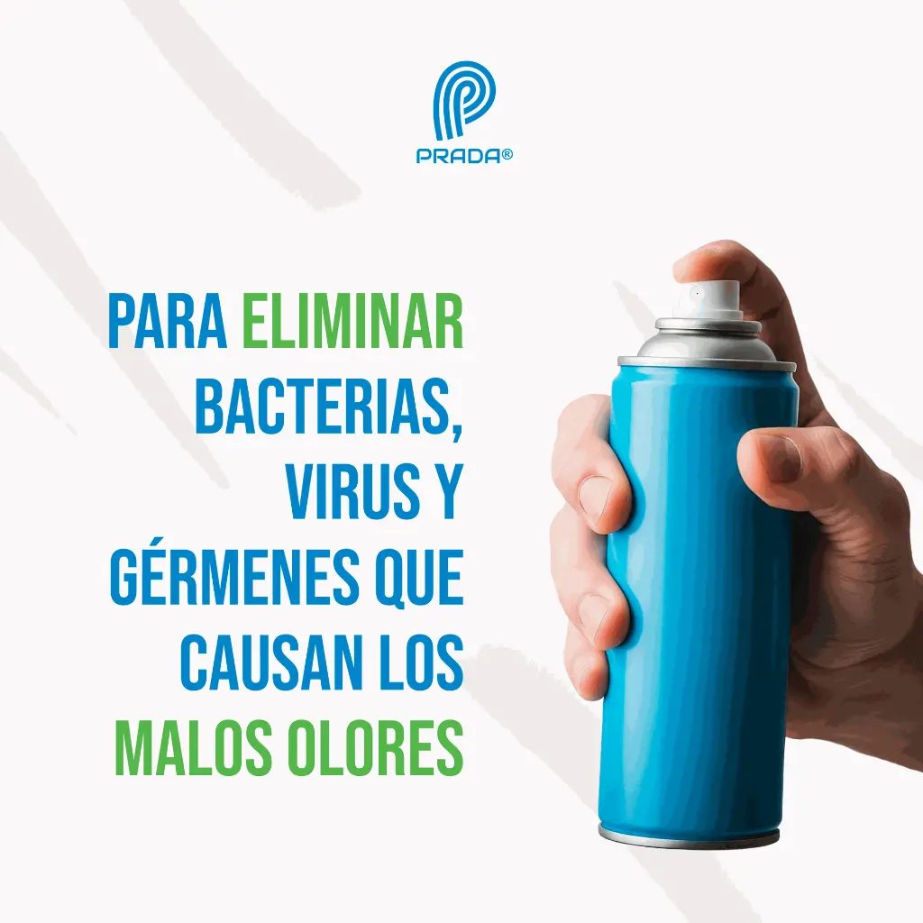 AEROSOL_DESINFECTANTE_LYSOL_538GR_04.webp