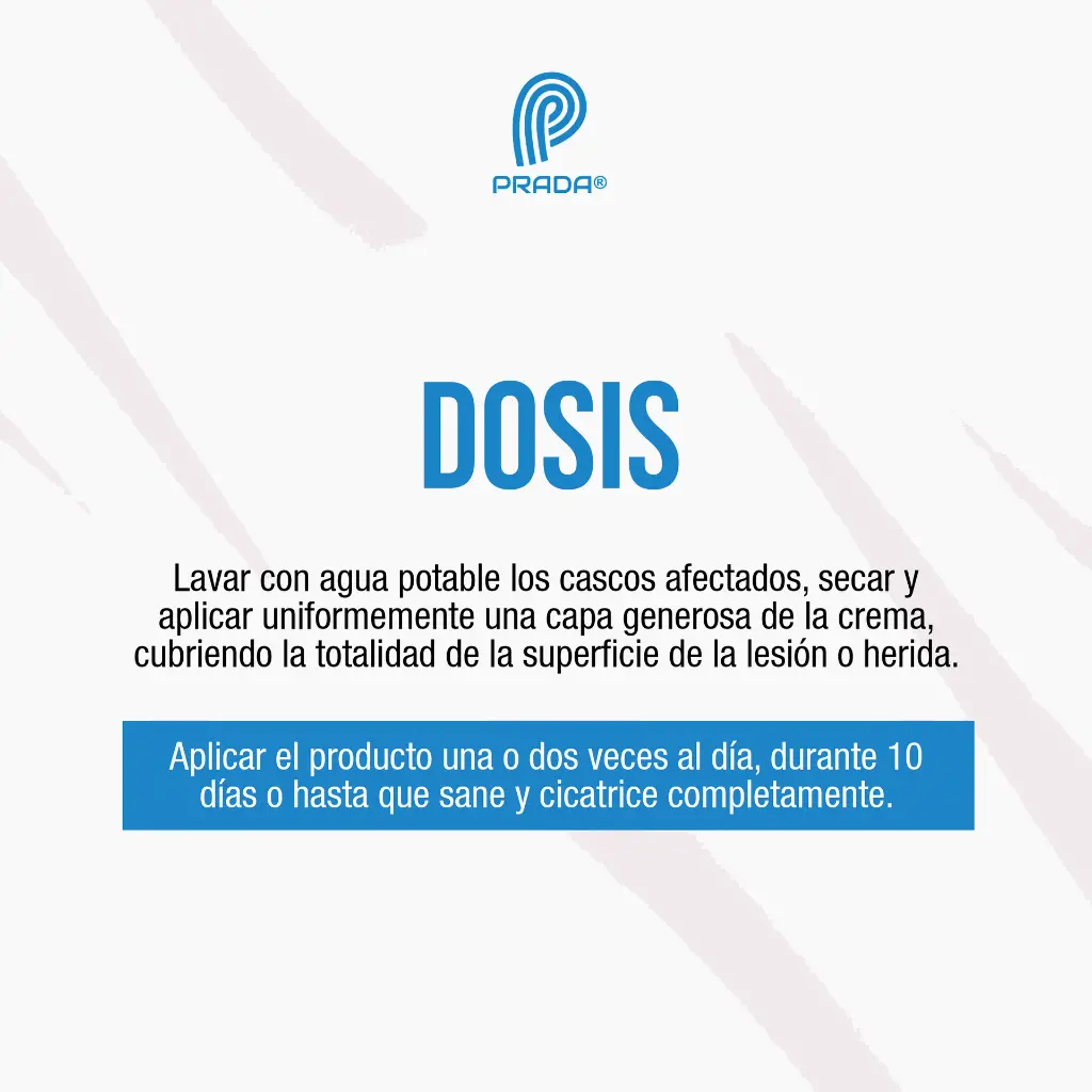 CASQUITOS_200GR_03.webp