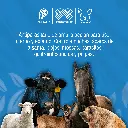 NUCHEROL_200GR_01.webp