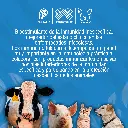 INMUNOCEL_FCO_50ML_01.webp