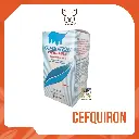 CEFQUIRON INY X 100 ML {M}