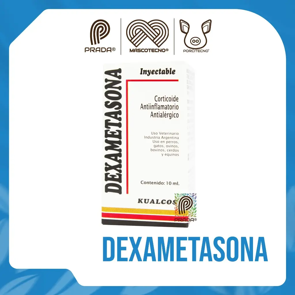 DEXAMETASONA X 10 ML