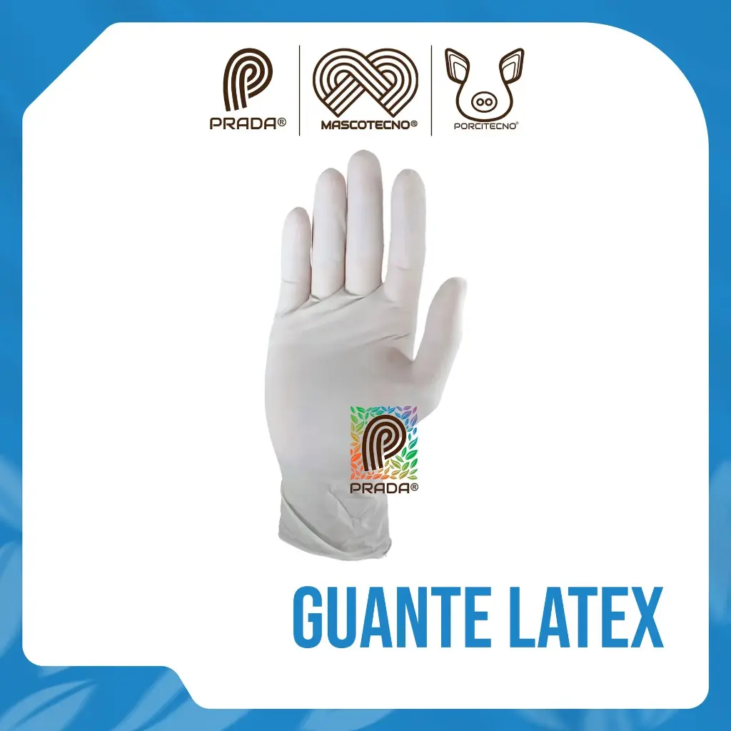 GUANTE LATEX LARGE 100 UND