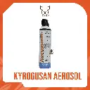 KYROGUSAN AEROSOL X 400 ML {M}